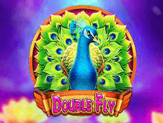 Double Fly icon