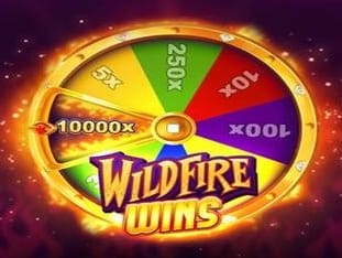 Wildfire Wins icon